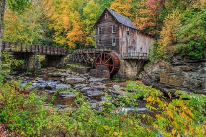 Picture of GRIST MILL FALL 2013 1