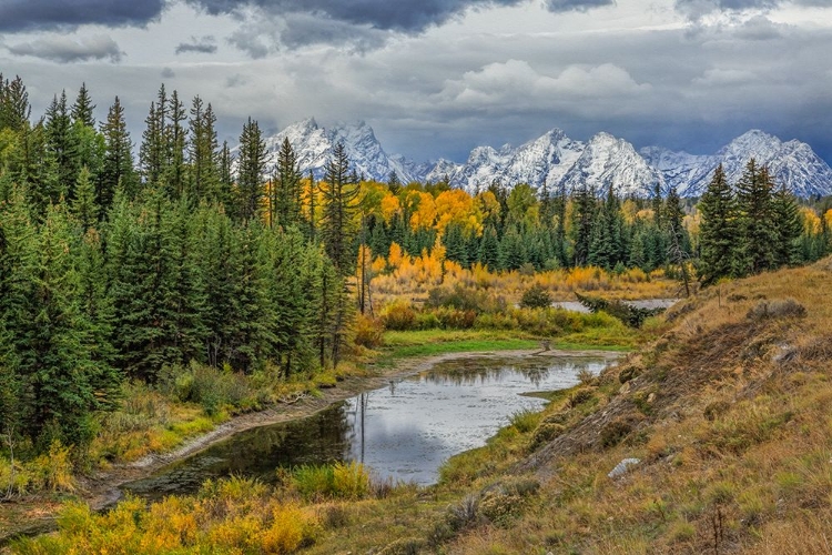 Picture of GTNP FALL COLOR WITH MOUNTAINS