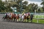 Picture of INTO THE HOME STRETCH