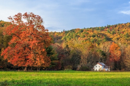 Picture of LITTLE HOUSE IN THE FALL