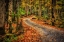 Picture of PATH IN GREENBRIER WATERCOLOR