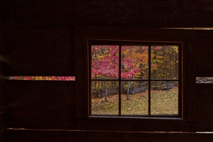 Picture of ROARING FORK CABIN WINDOW