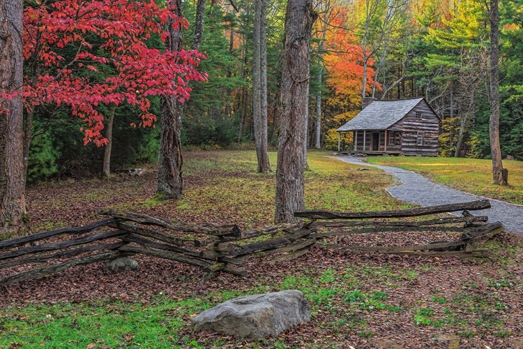 Picture of SMOKIES CS CABIN