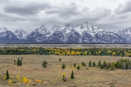 Picture of TETON FALL COLORS