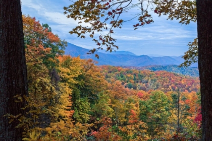 Picture of WINDOW TO THE SMOKY MOUNTAINS