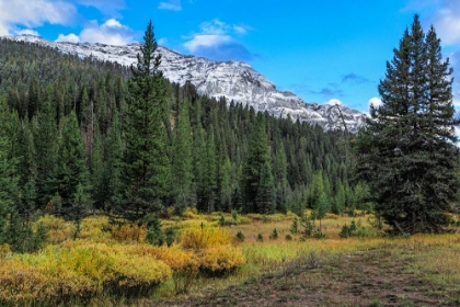 Picture of YELLOWSTONE SBC LANDSCAPE