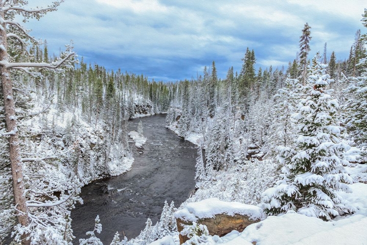 Picture of YELLOWSTONE WINTER IN FALL