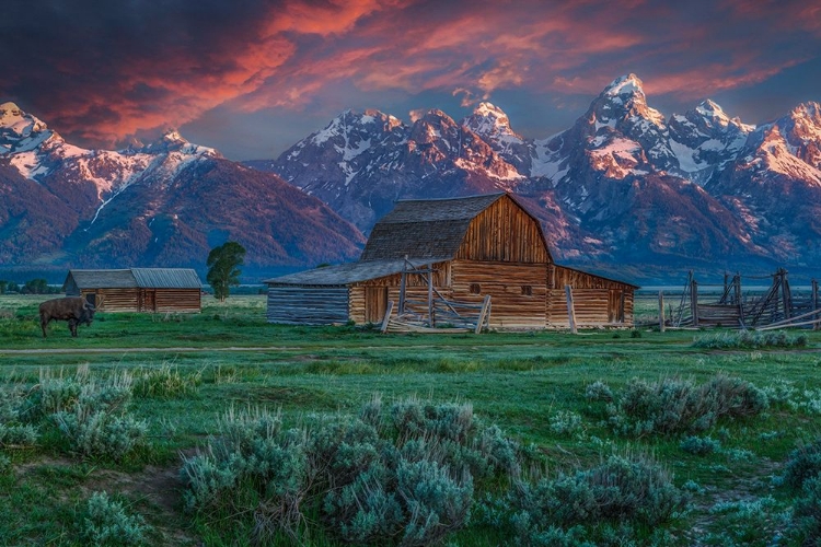 Picture of GRAND TETON MORMON BARN AT SUNRISE