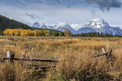 Picture of GTNP SCENE MT. MORAN