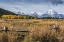 Picture of GTNP SCENE MT. MORAN