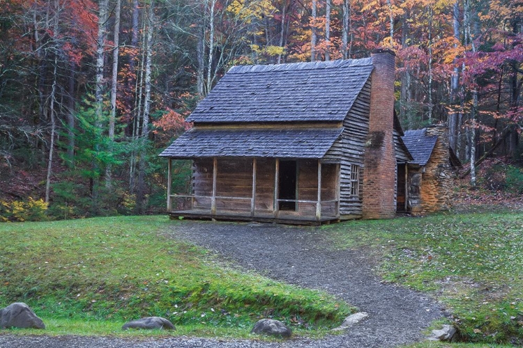 Picture of HENRY WHITEHEAD PLACE