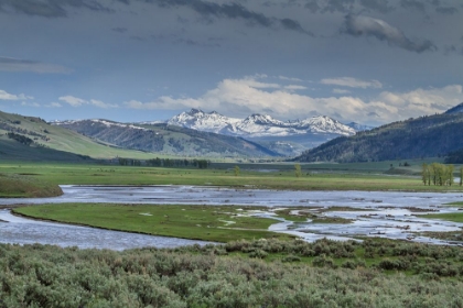 Picture of LAMAR VALLEY (YNP)