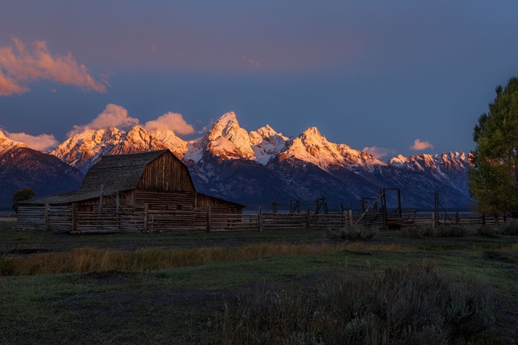 Picture of MOULTON BARN AT SUNRISE