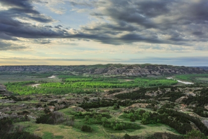 Picture of OXBOW OVERLOOK (TRNP)