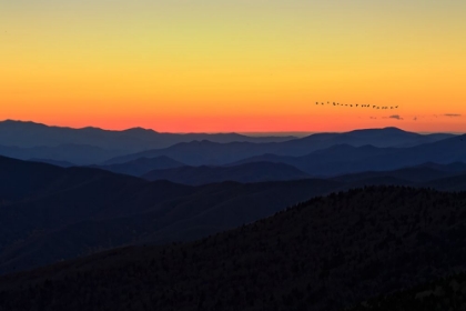 Picture of SUNSET (GSMNP)