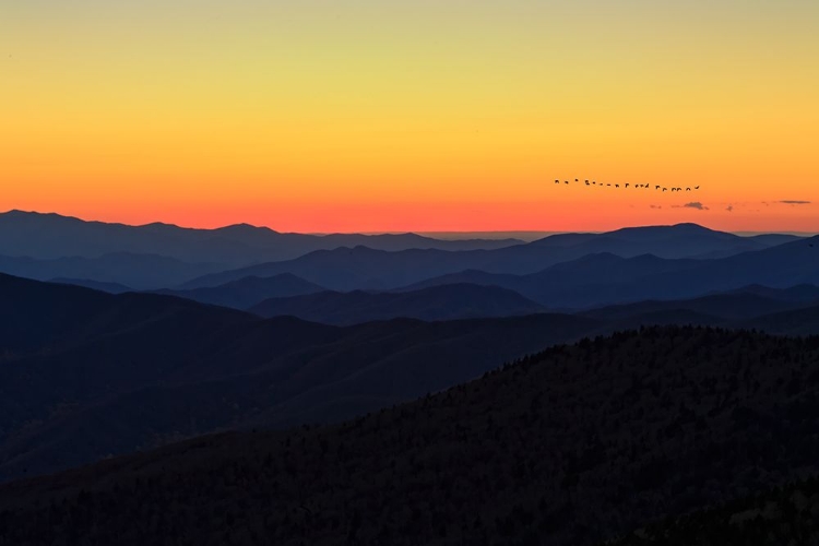 Picture of SUNSET (GSMNP)