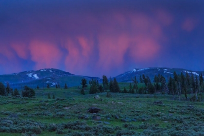 Picture of YNP SUNSET