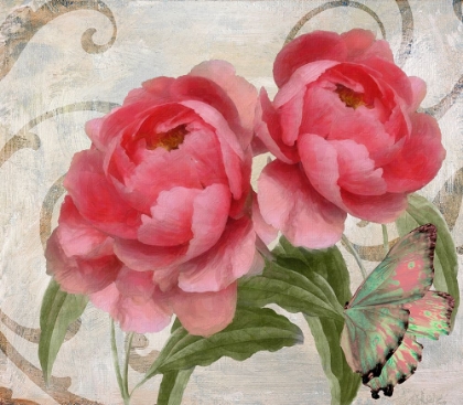 Picture of APRICOT PEONIES I