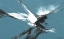 Picture of EXPLORATIONS II