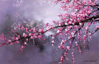 Picture of WINTER PLUM BLOSSOM