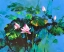 Picture of LILY POND