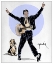 Picture of HOUND DOG