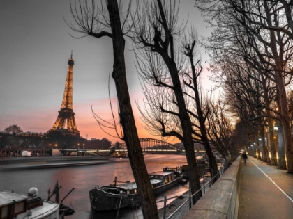 Picture of ROW OF TREES, THE RIVER SEINE AND THE EIFFEL TOWER AT DUSK