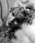 Picture of ANNA STEN, 1934
