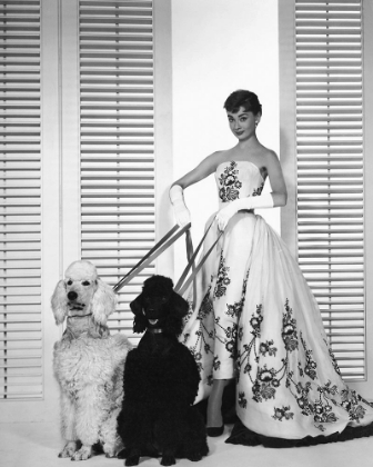 Picture of AUDREY HEPBURN, SABRINA, 1954