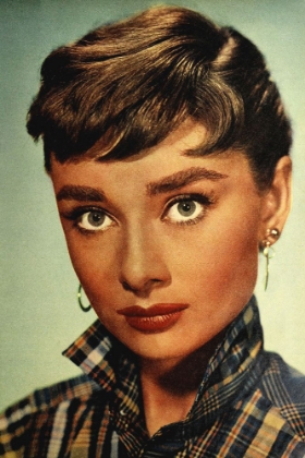 Picture of AUDREY HEPBURN, 1954