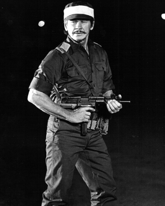 Picture of CHARLES BRONSON, 1977