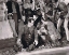 Picture of BABES IN TOYLAND