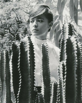 Picture of PINA PELLICER, ONE-EYED JACKS, 1961