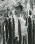 Picture of PINA PELLICER, ONE-EYED JACKS, 1961