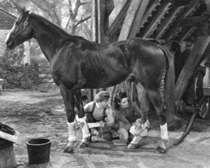 Picture of NATIONAL VELVET, 1944