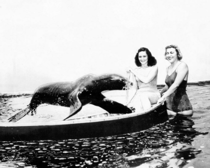 Picture of SHARKEY THE SEAL, 1941