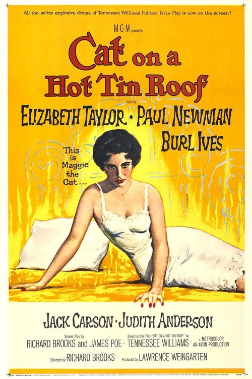 Picture of CAT ON A HOT TIN ROOF-1958