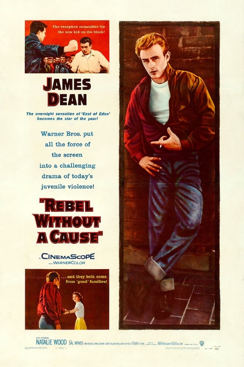 Picture of REBEL WITHOUT A CAUSE-1955