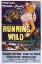Picture of RUNNING WILD-1955