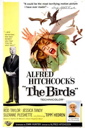 Picture of THE BIRDS-1963