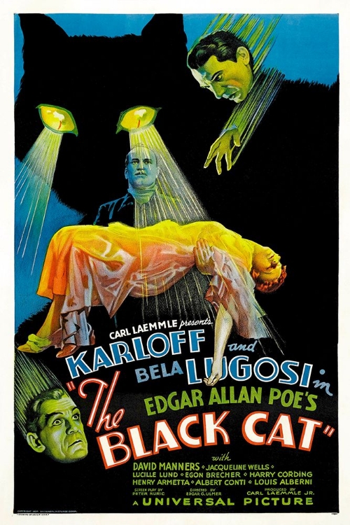 Picture of THE BLACK CAT-1934