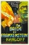 Picture of THE BRIDE OF FRANKENSTEIN-1935