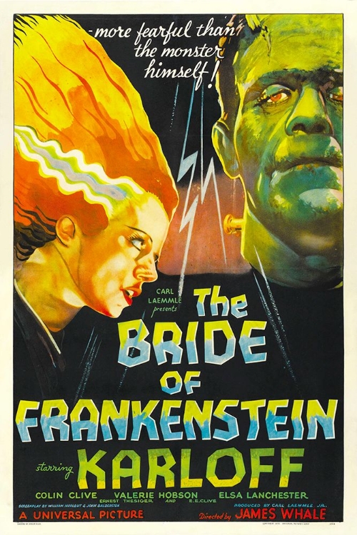 Picture of THE BRIDE OF FRANKENSTEIN-1935