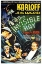 Picture of THE INVISIBLE RAY-1936