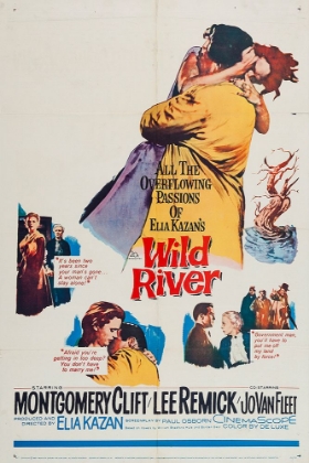 Picture of WILD RIVER-1960