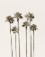 Picture of PALM GETAWAY