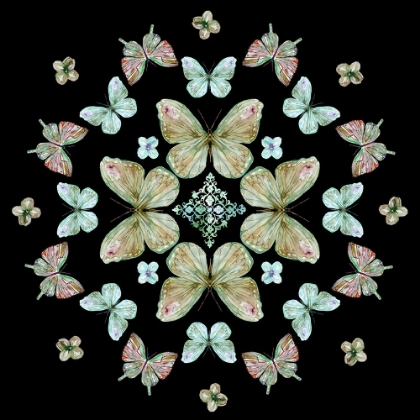 Picture of BUTTERFLY KALEIDOSCOPE