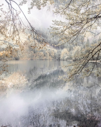 Picture of MISTY LAKE