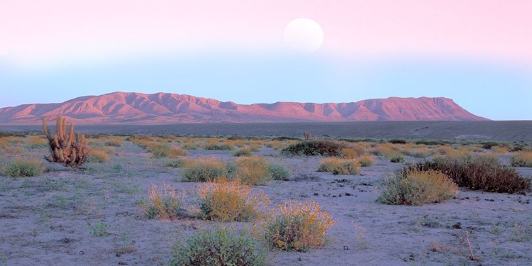 Picture of VALLENAR ATACAMA DESERT