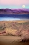 Picture of MOONRISE, NAMIBIA